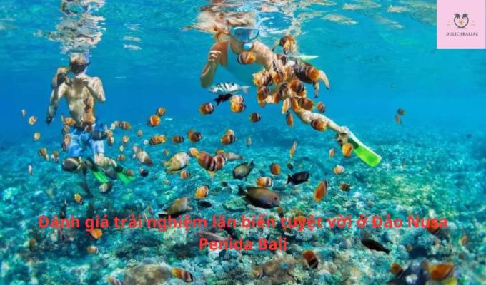 Đánh giá trải nghiệm lặn biển tuyệt vời ở Đảo Nusa Penida Bali