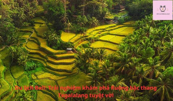 Du lịch Bali: Trải nghiệm khám phá Ruộng bậc thang Tegalalang tuyệt vời