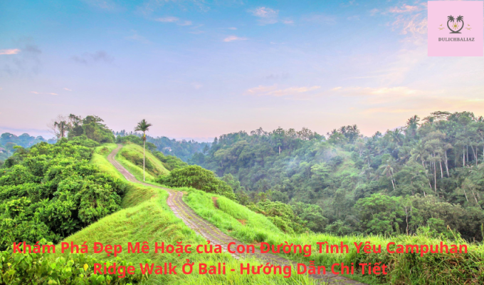 Khám Phá Đẹp Mê Hoặc của Con Đường Tình Yêu Campuhan Ridge Walk Ở Bali - Hướng Dẫn Chi Tiết