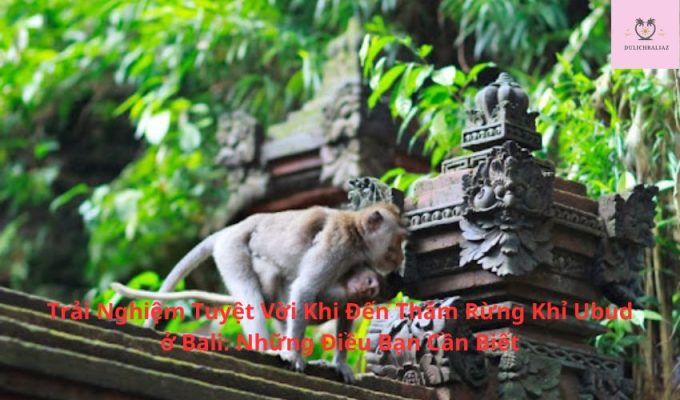 Trải Nghiệm Tuyệt Vời Khi Đến Thăm Rừng Khỉ Ubud ở Bali: Những Điều Bạn Cần Biết